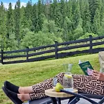 Lk Forest Luksusowe Z Basenem Z Jacuzzi, Sauna, Grota Solna, Sala Bilardowa I Ogrodem Łapsze Niżne
