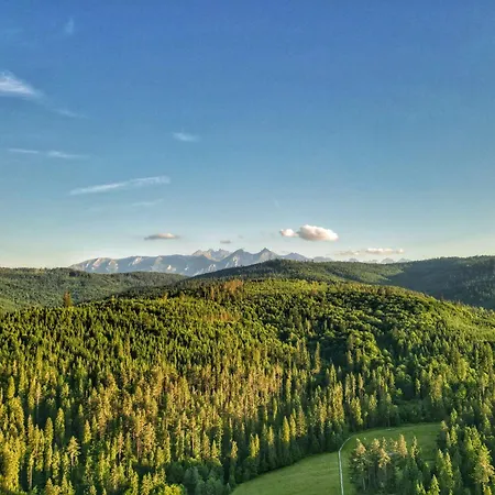 Lk Forest Luksusowe Z Basenem Z Jacuzzi, Sauna, Grota Solna, Sala Bilardowa I Ogrodem Villa Łapsze Niżne